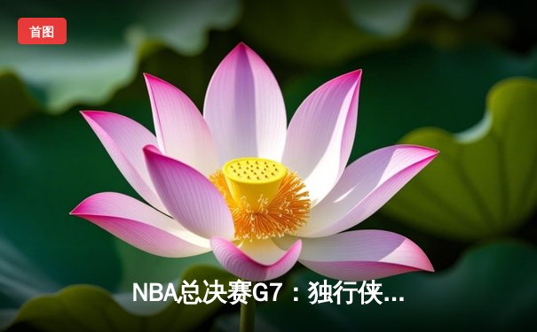 NBA总决赛G7：独行侠加时险胜凯尔特人 东契奇三双率队夺队史第二冠